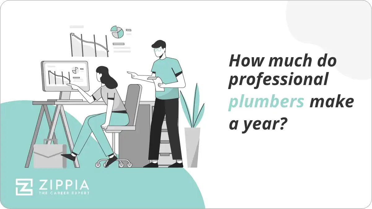 How much do professional plumbers make a year?