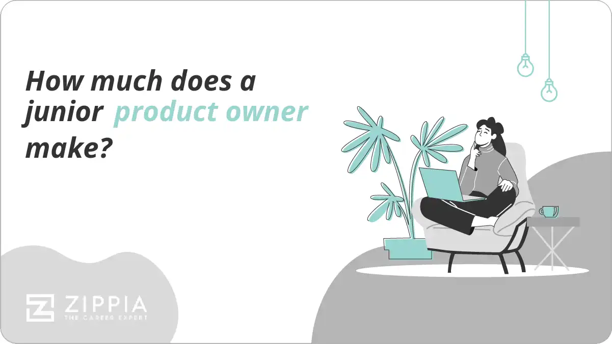 How much does a junior product owner make?