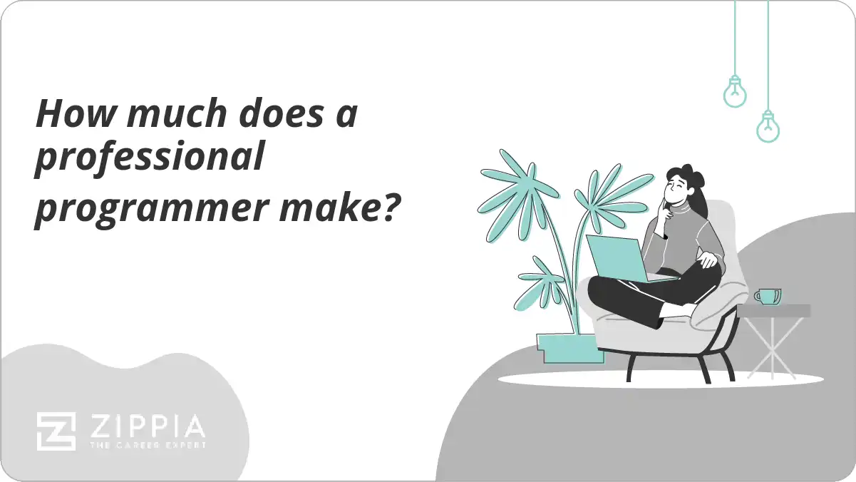 How much does a professional programmer make? Zippia