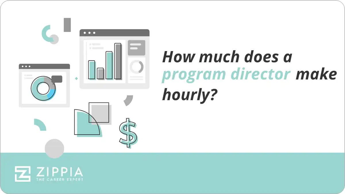 How much does a program director make hourly?