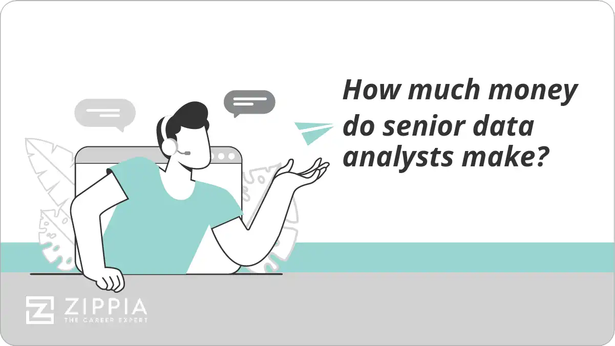 How much money do senior data analysts make? Zippia