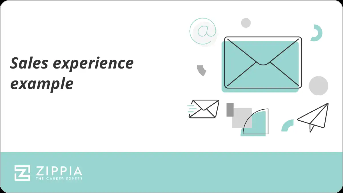sales-experience-example-zippia
