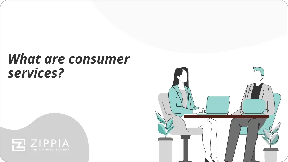 What are consumer services?