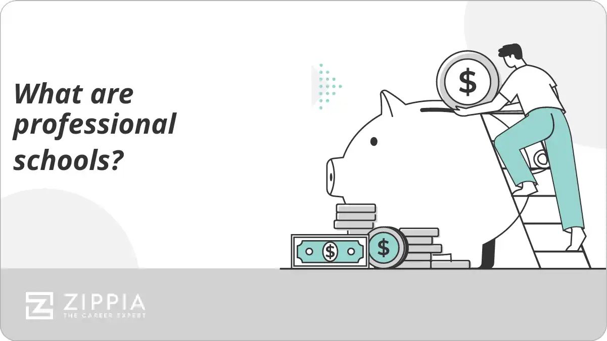 What are professional schools?