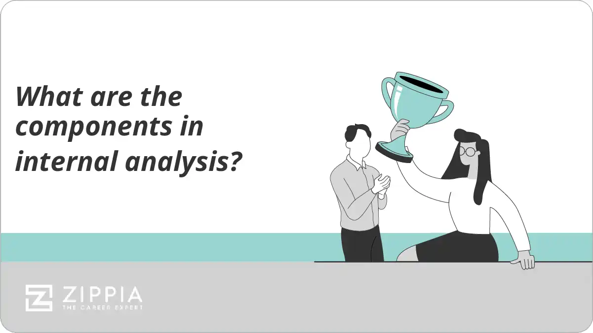 What are the components in internal analysis?