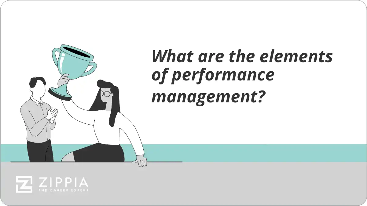 What are the elements of performance management?