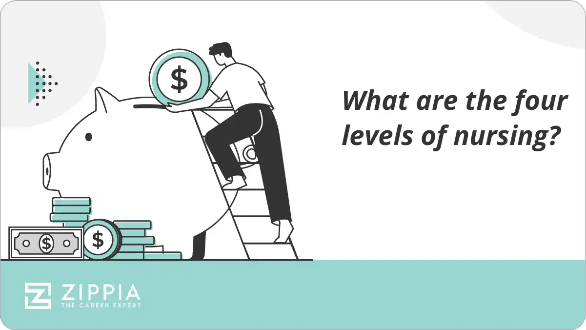 What are the four levels of nursing?