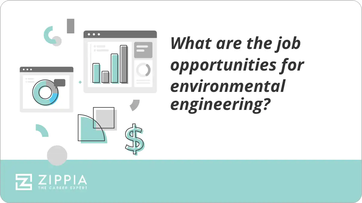 What are the job opportunities for environmental engineering?