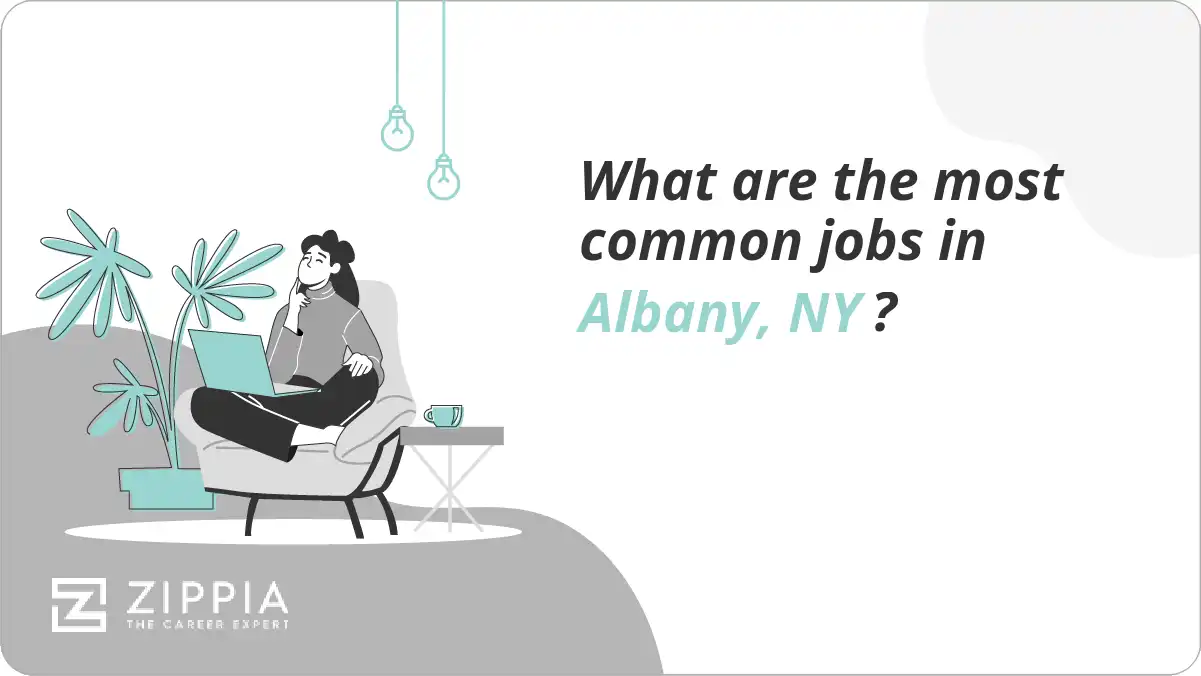 What are the most common jobs in Albany, NY?