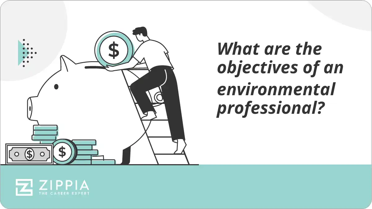 What are the objectives of an environmental professional?
