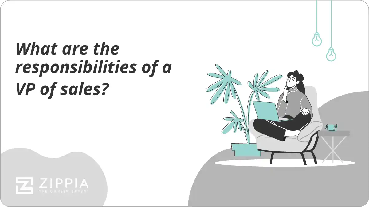 What are the responsibilities of a VP of sales?