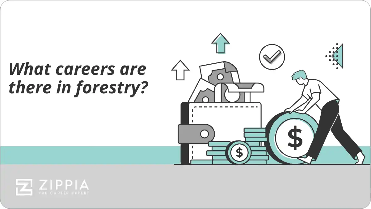 What careers are there in forestry?