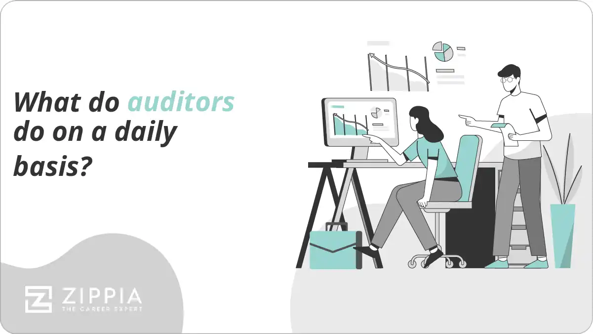 What do auditors do on a daily basis?