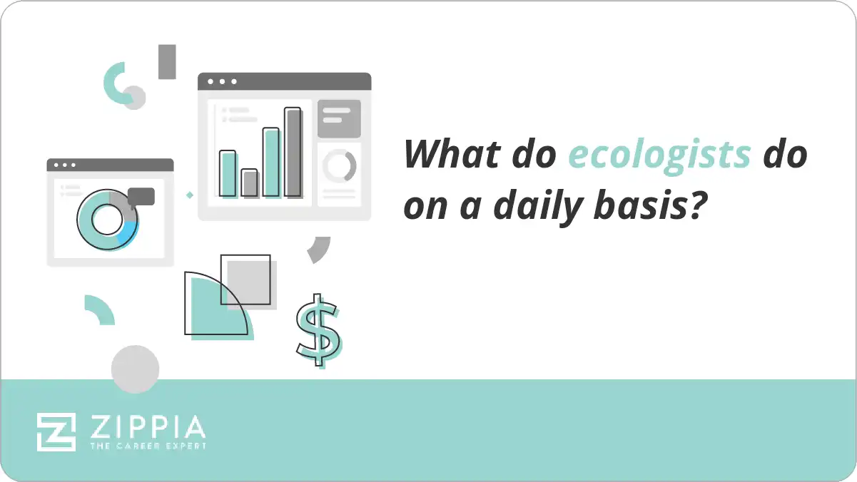 What do ecologists do on a daily basis?