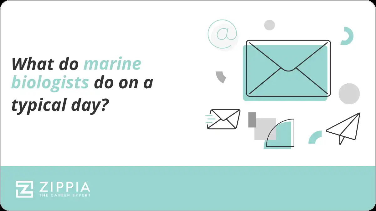 What do marine biologists do on a typical day?