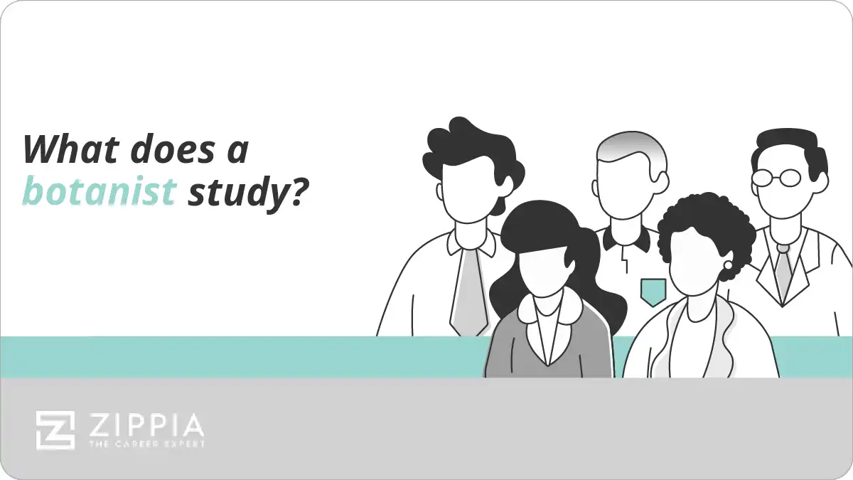 What does a botanist study?