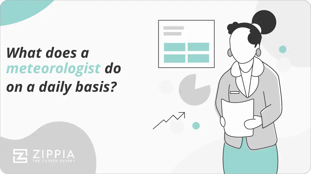 What does a meteorologist do on a daily basis?