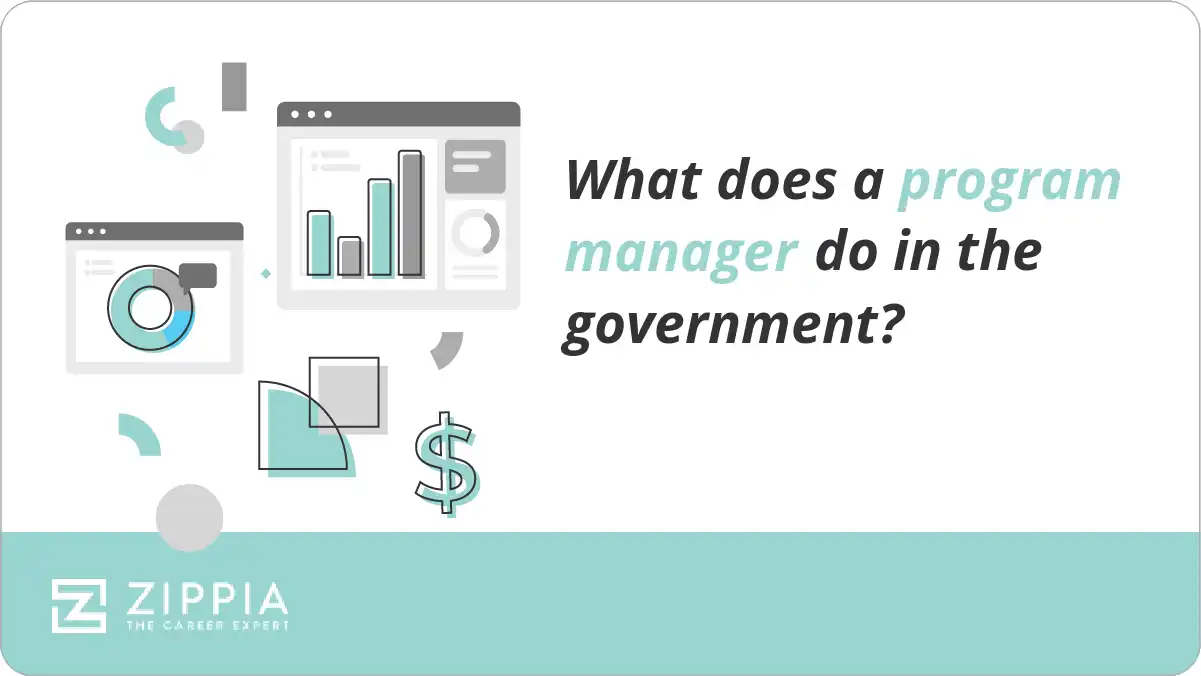 What does a program manager do in the government?