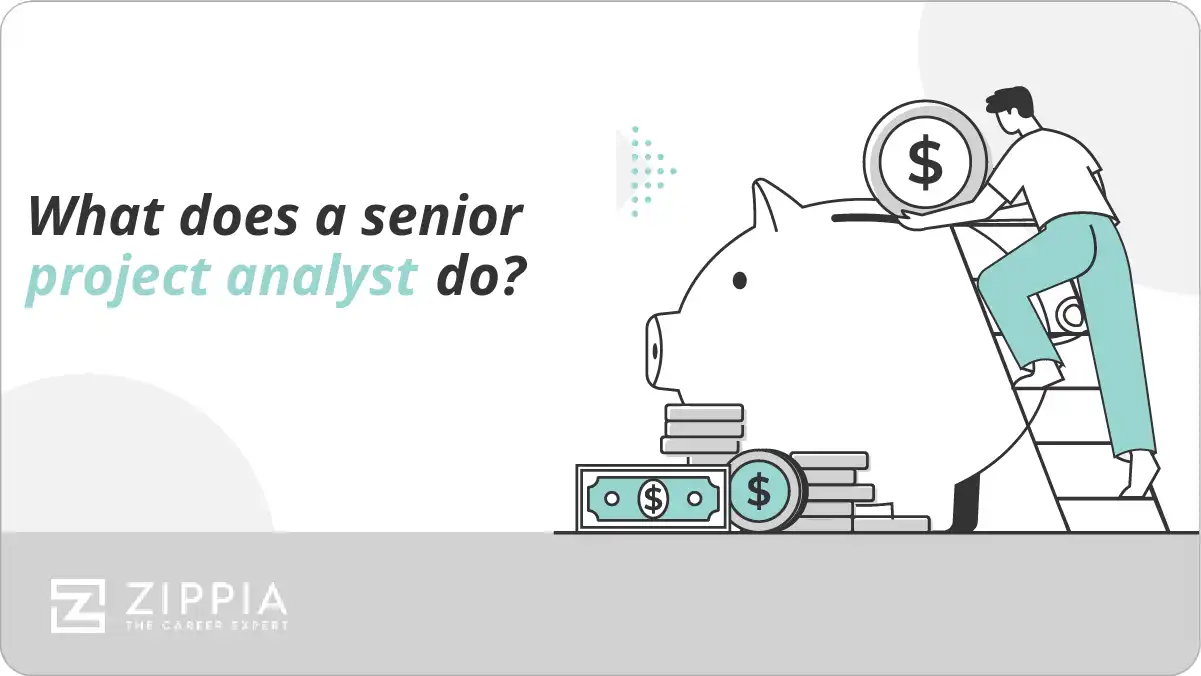 What does a senior project analyst do?
