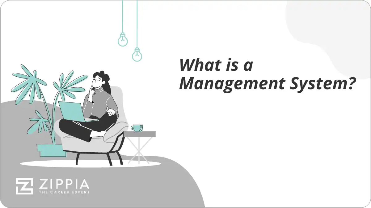 What is a Management System?