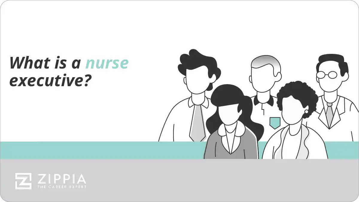 What is a nurse executive?
