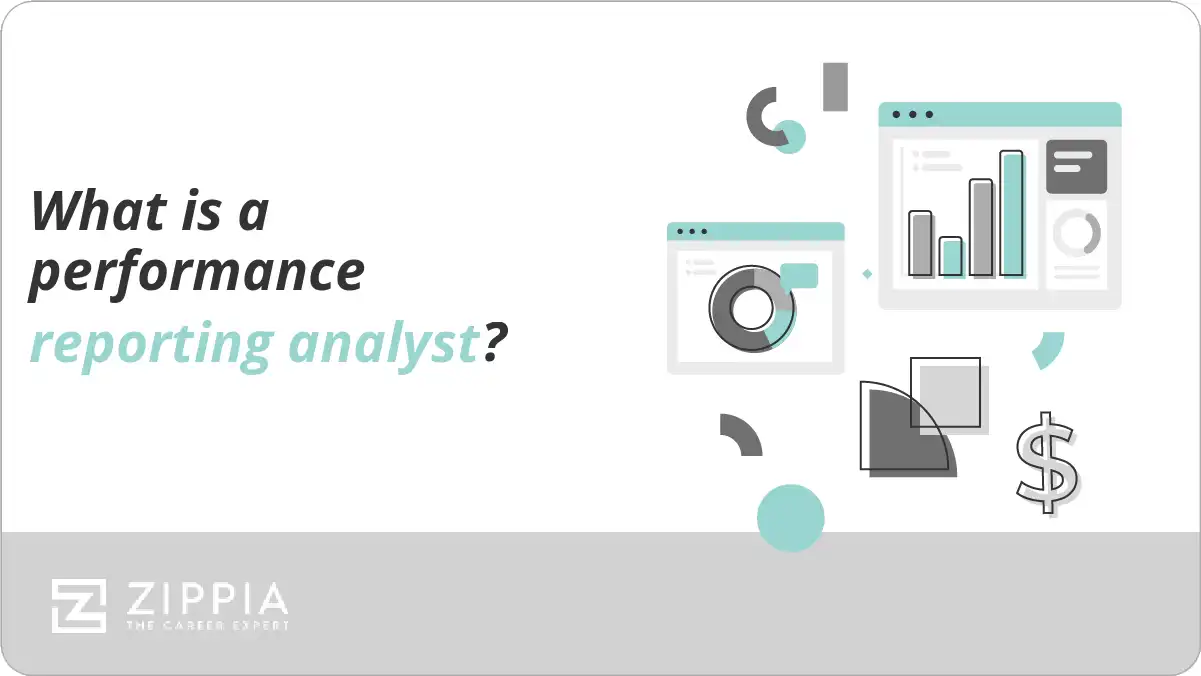 What is a performance reporting analyst?