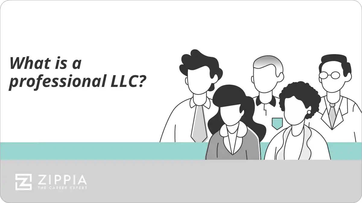 What is a professional LLC?