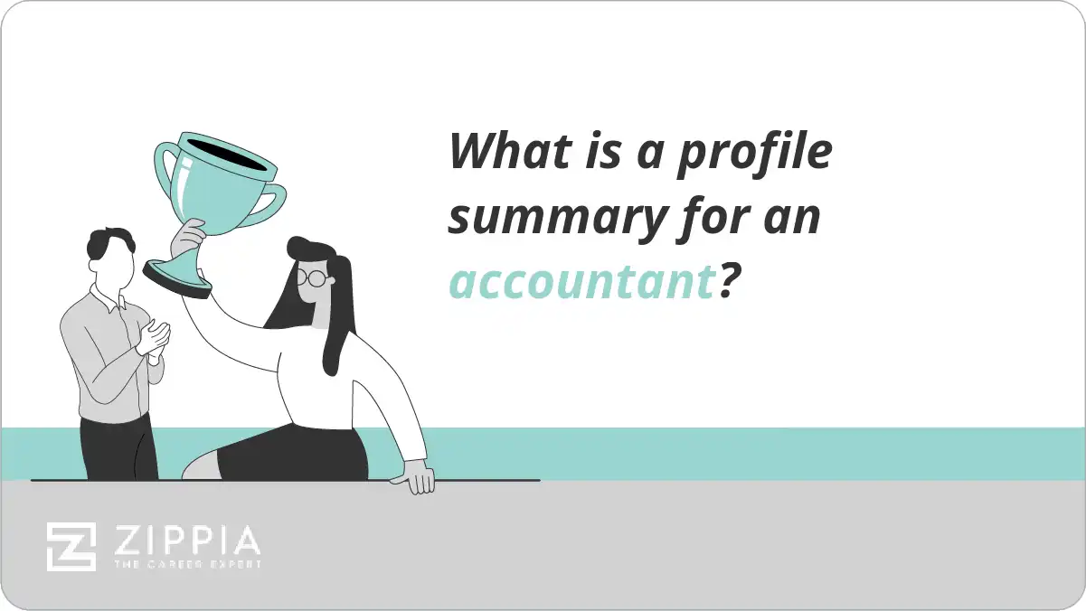 What is a profile summary for an accountant?