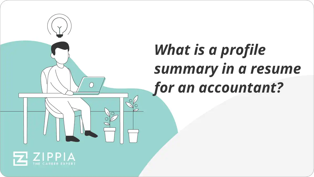 What is a profile summary in a resume for an accountant?