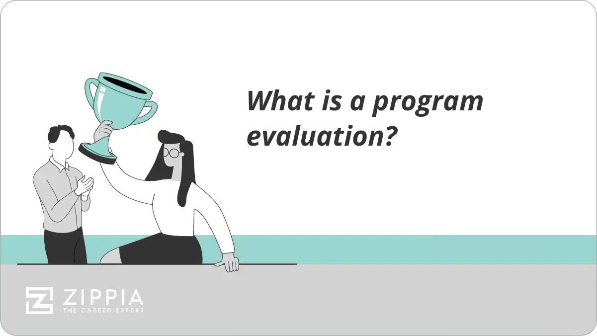 What is a program evaluation?