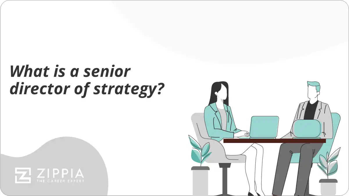 What is a senior director of strategy?