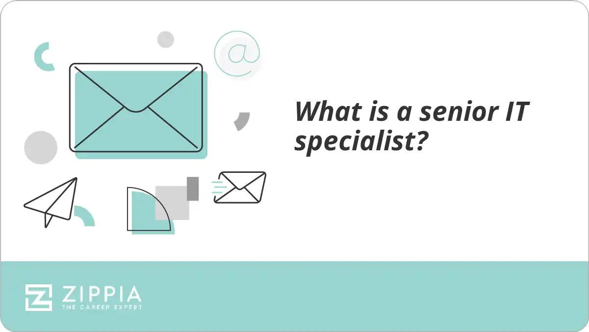 What is a senior IT specialist?