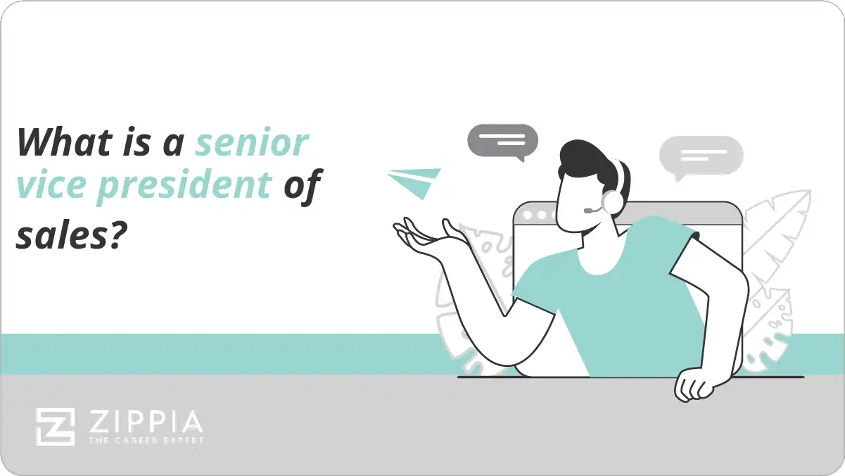 What is a senior vice president of sales?