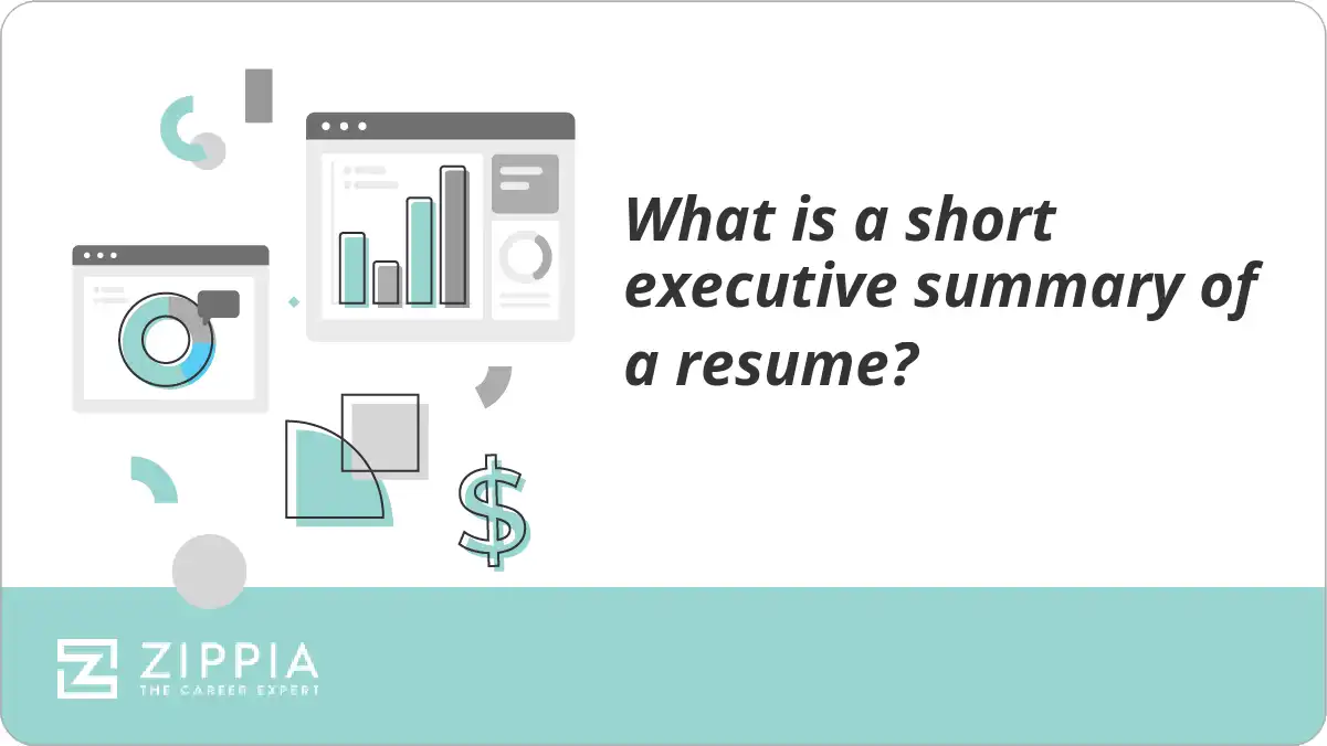 What is a short executive summary of a resume?