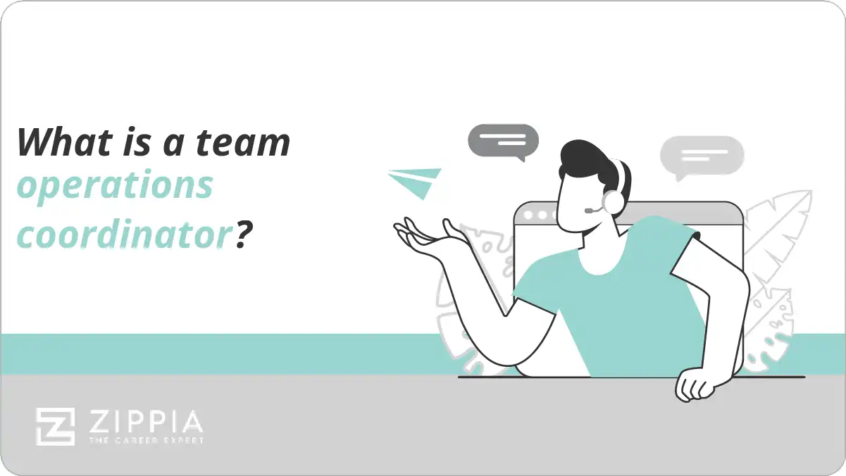 What is a team operations coordinator?