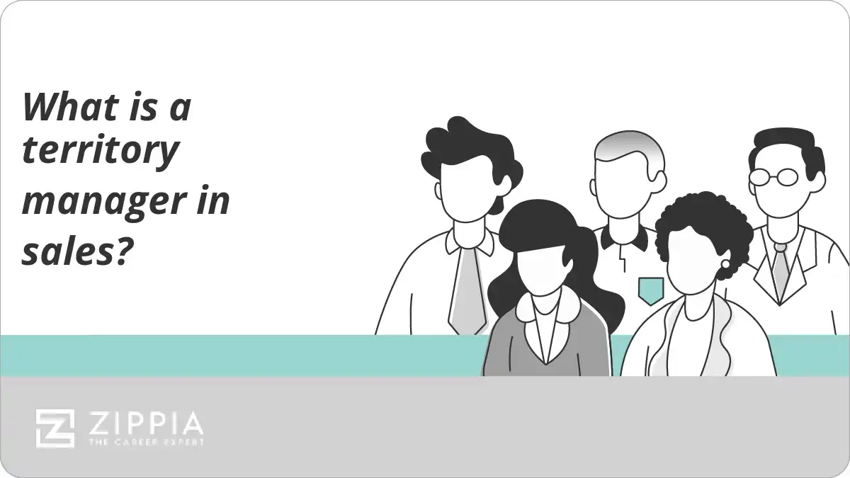 What is a territory manager in sales?