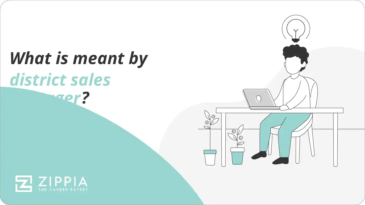 What is meant by district sales manager?