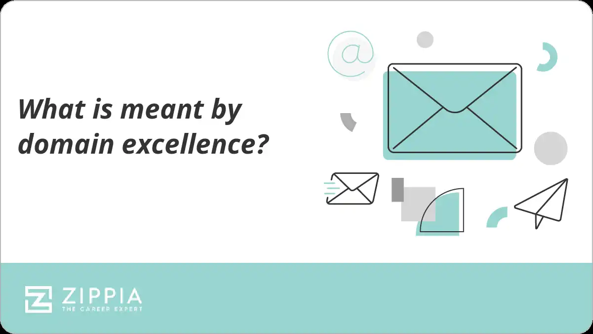 What is meant by domain excellence?