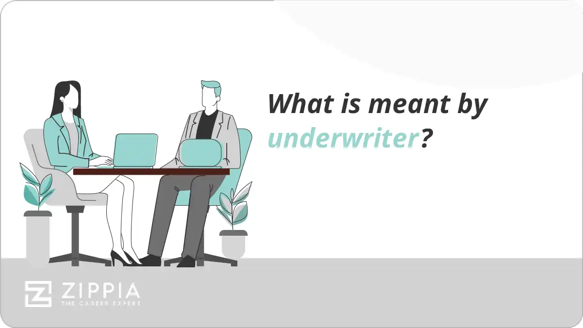 What is meant by underwriter?