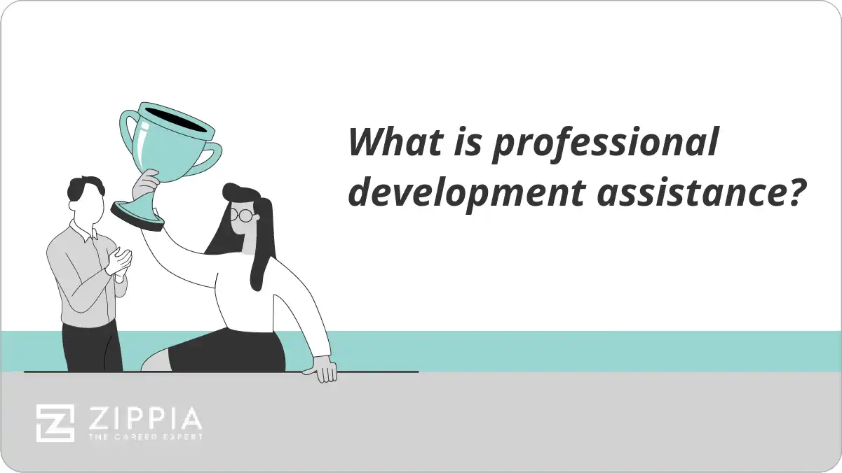 What is professional development assistance?