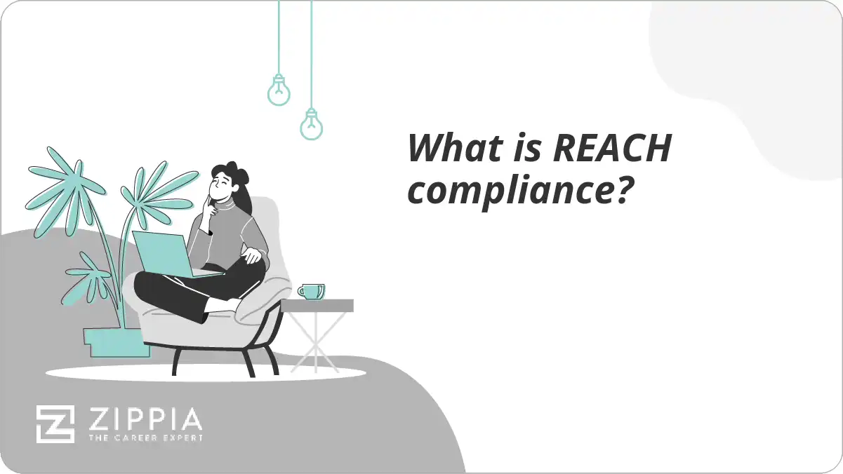 What is REACH compliance?