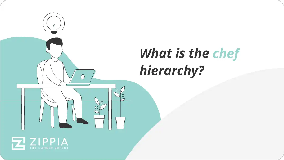 What is the chef hierarchy? Zippia