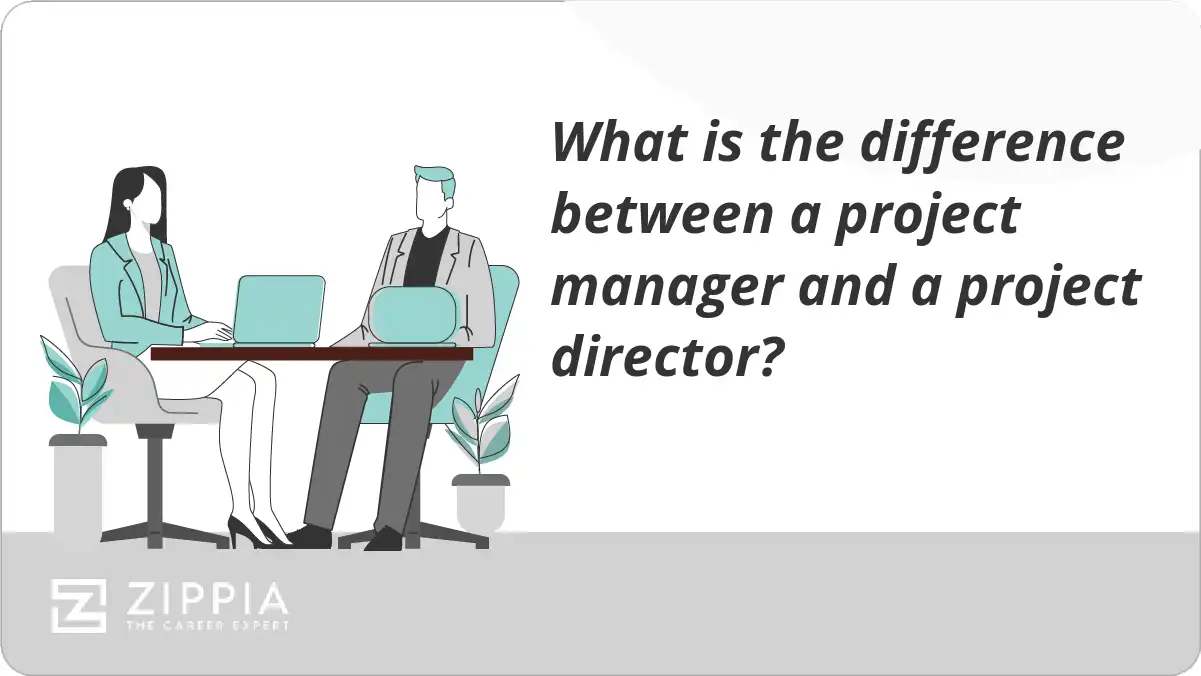 What is the difference between a project manager and a project director?