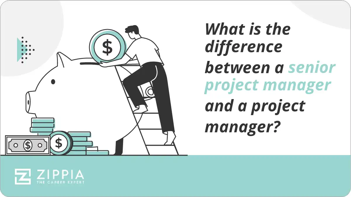 What is the difference between a senior project manager and a project manager?