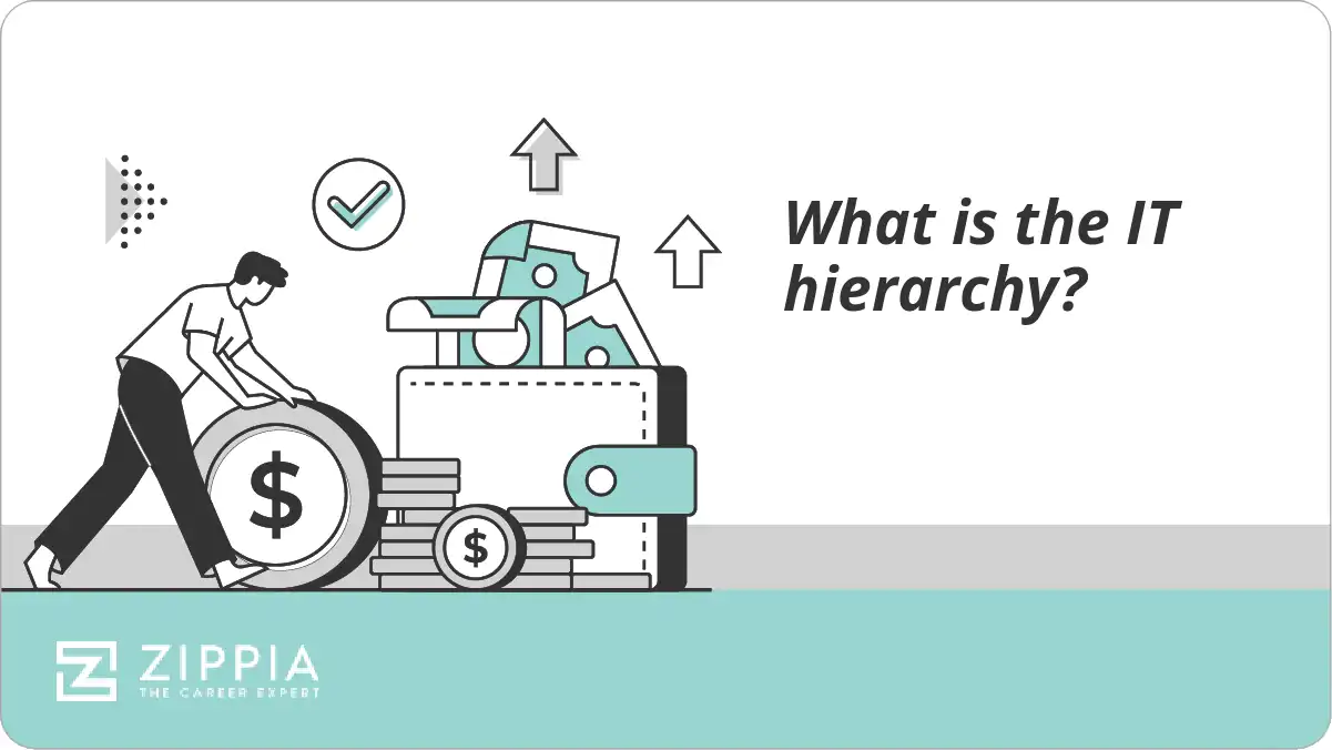 What is the IT hierarchy?