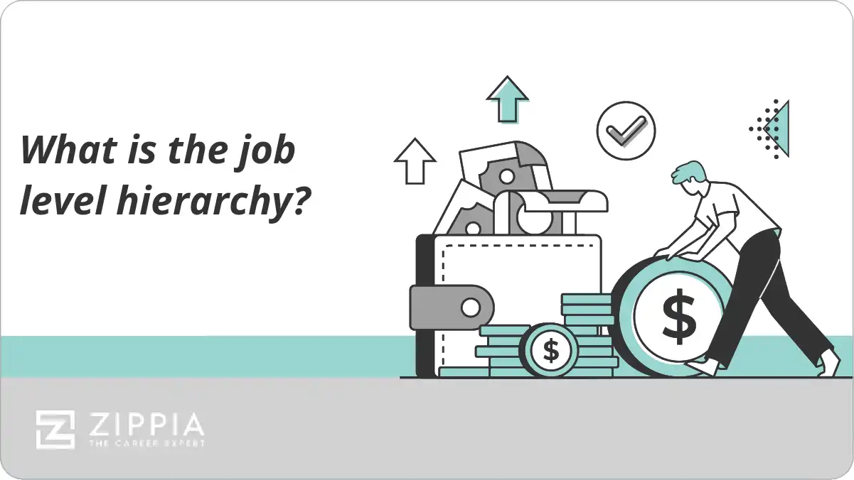 What is the job level hierarchy? - Zippia