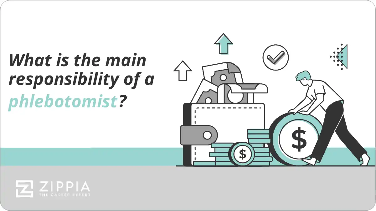 What is the main responsibility of a phlebotomist?