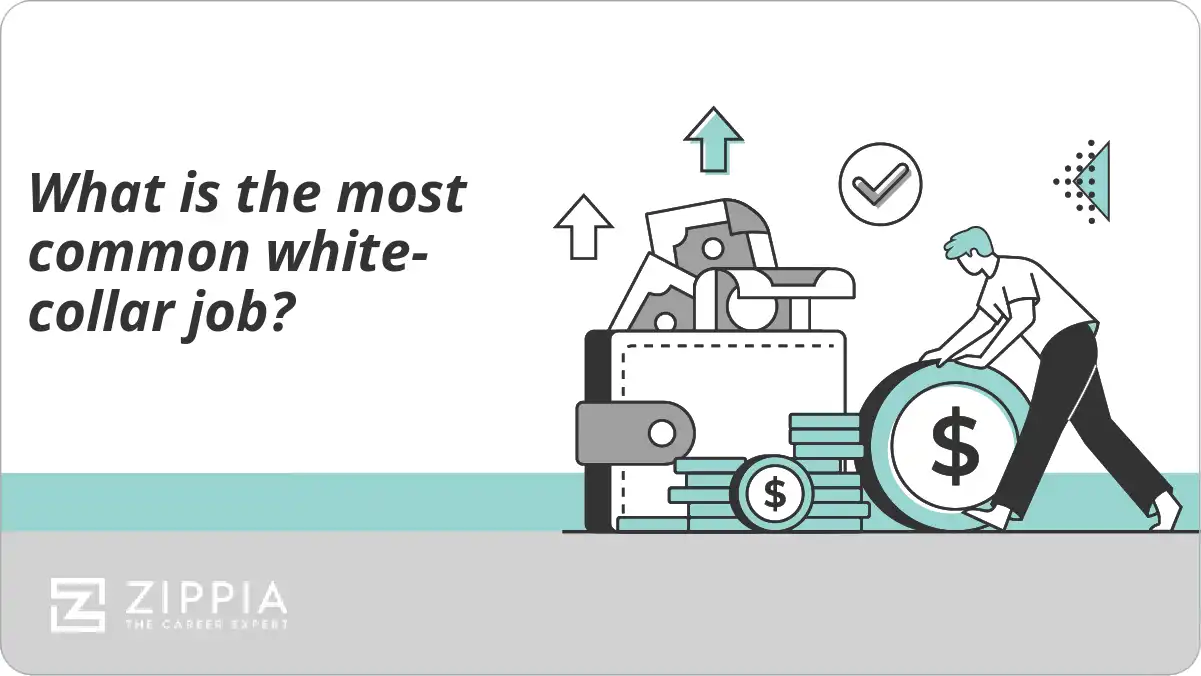 What is the most common white-collar job?