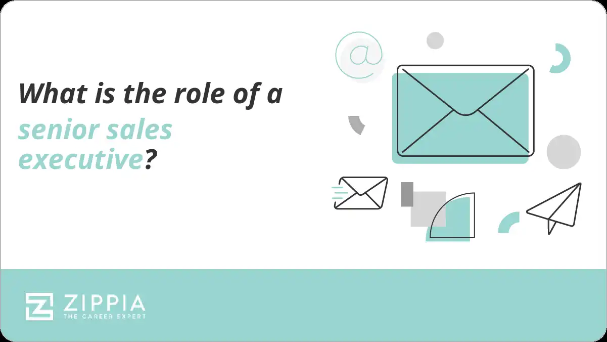 What is the role of a senior sales executive? Zippia