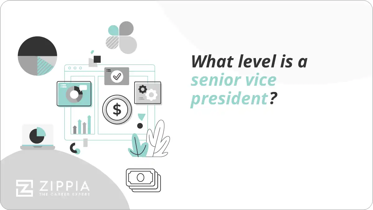 What level is a senior vice president?
